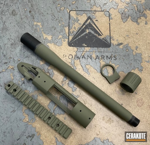 Bolt Action Cerakote