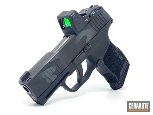 P365 Optics Ready RMRcc Conversion